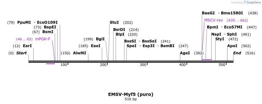 147196_map
