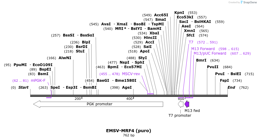 147197_map