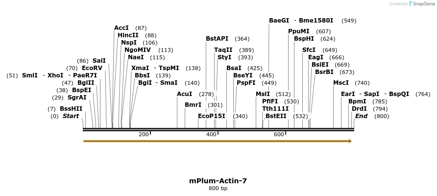 147200_map