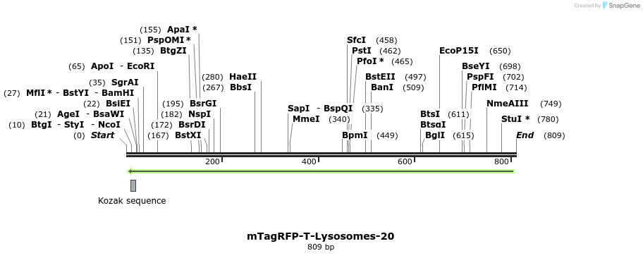 147201_map
