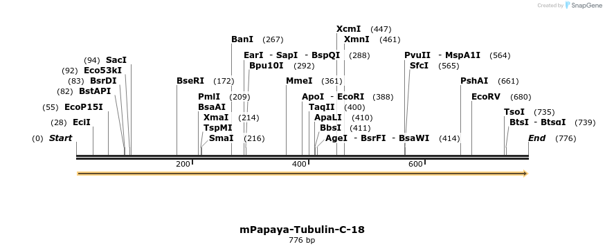 147203_map