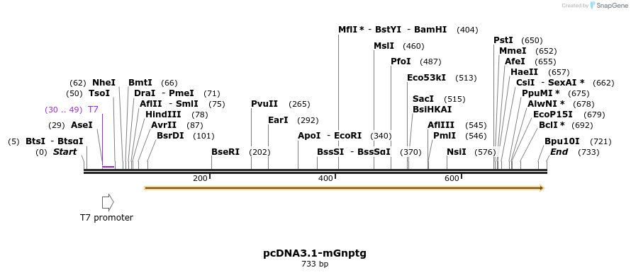 147215_map