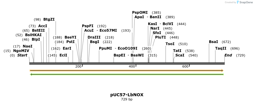147216_map