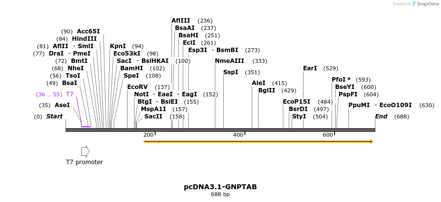 147217_map