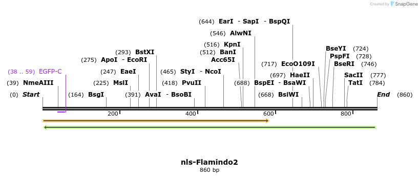 147219_map