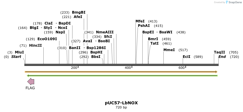 147220_map
