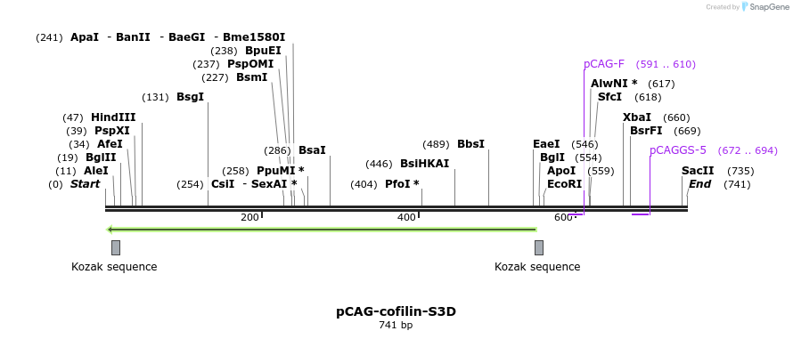 147221_map