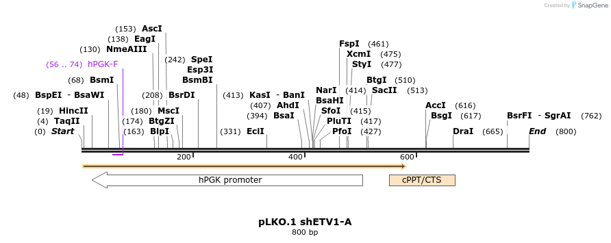 147226_map