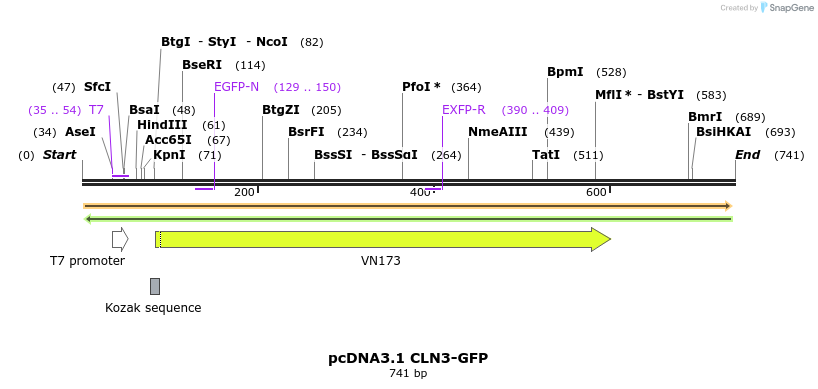 147236_map
