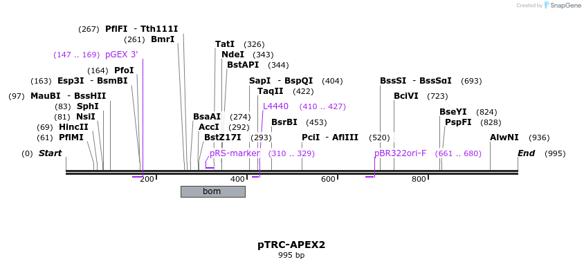 147237_map