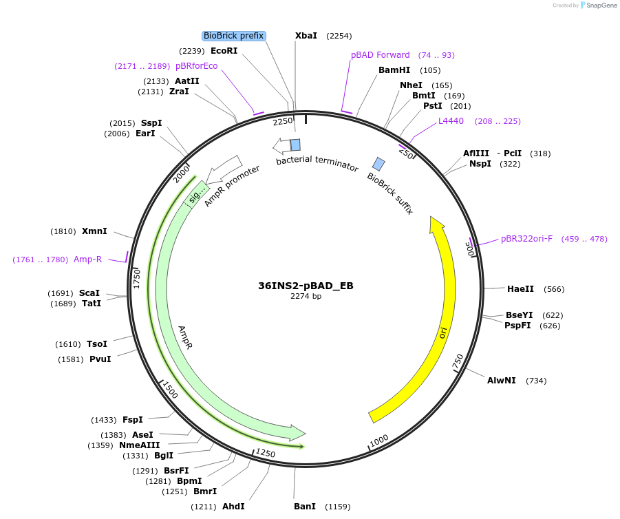147246_map