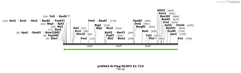 147259_map