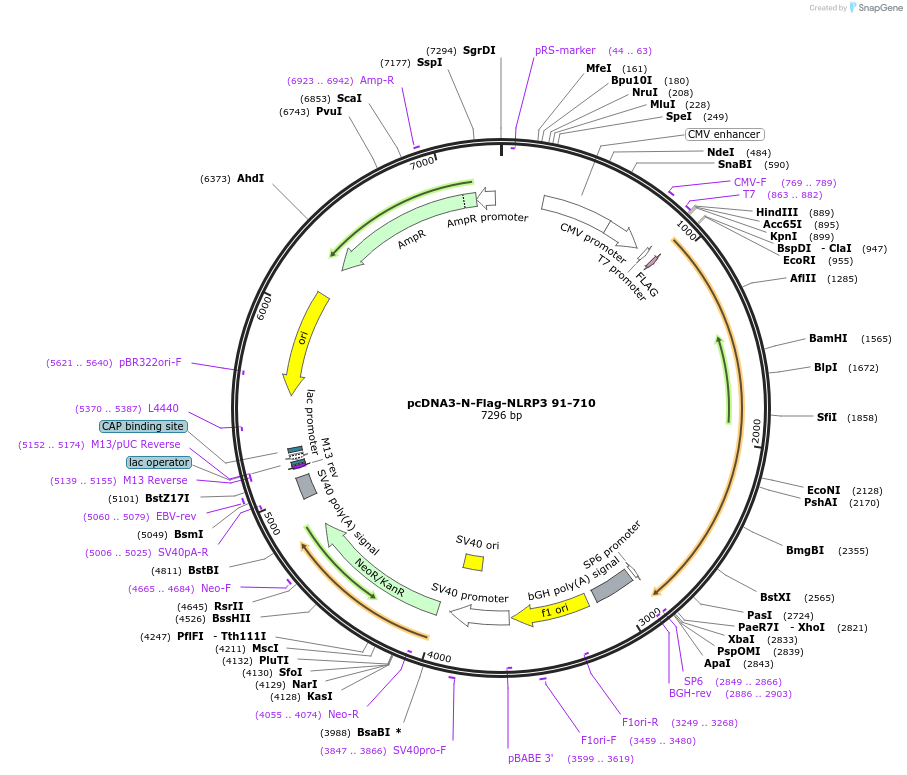147260_map