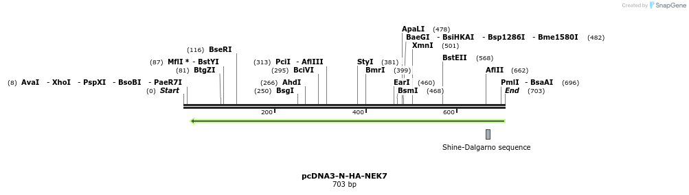 147262_map