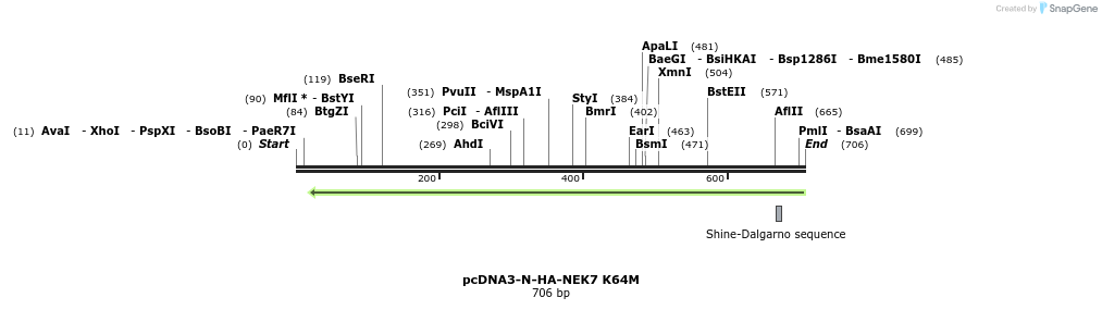 147265_map