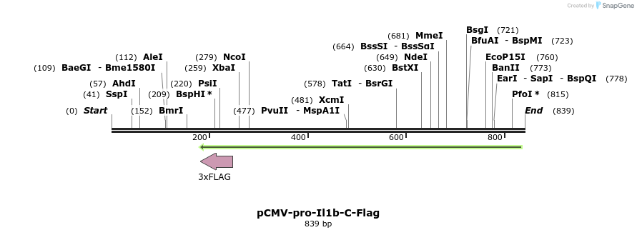 147266_map