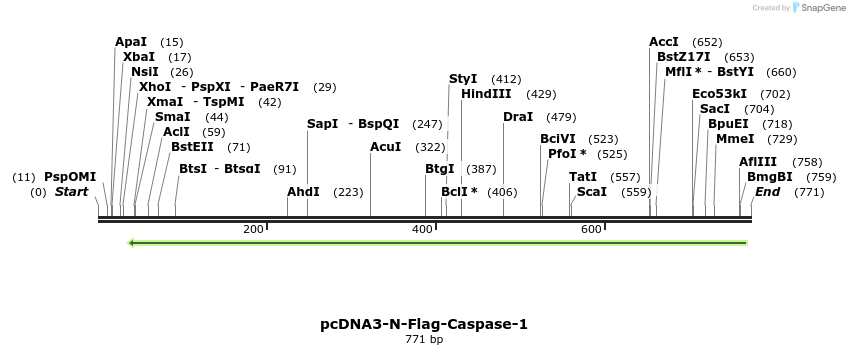 147267_map