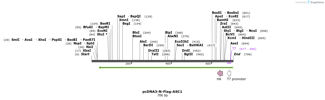 147268_map