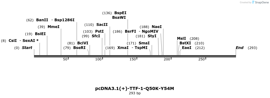 147269_map