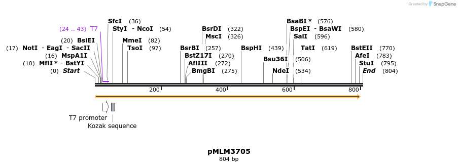 147279_map