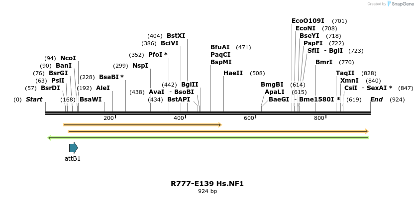 147281_map