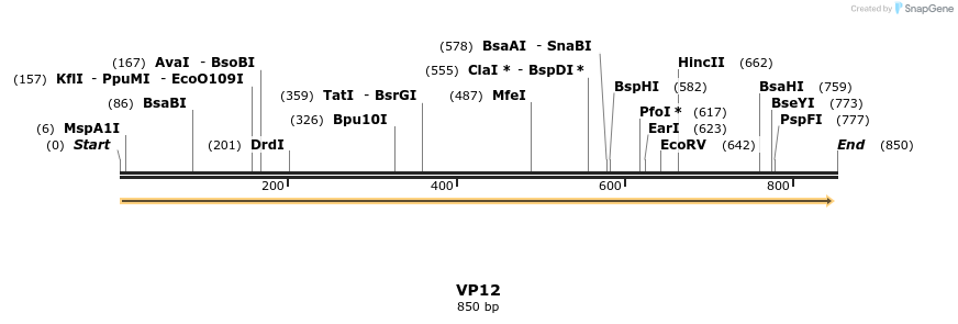147284_map