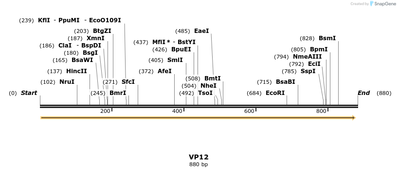 147285_map
