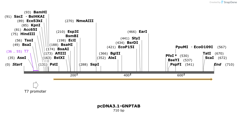 147291_map