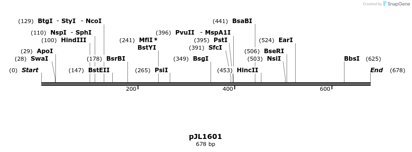 147294_map