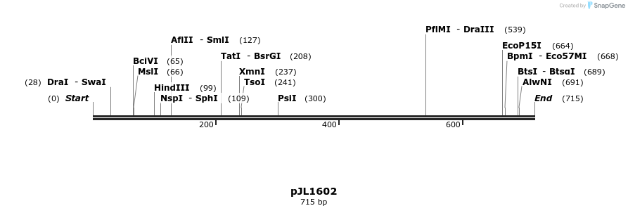 147295_map