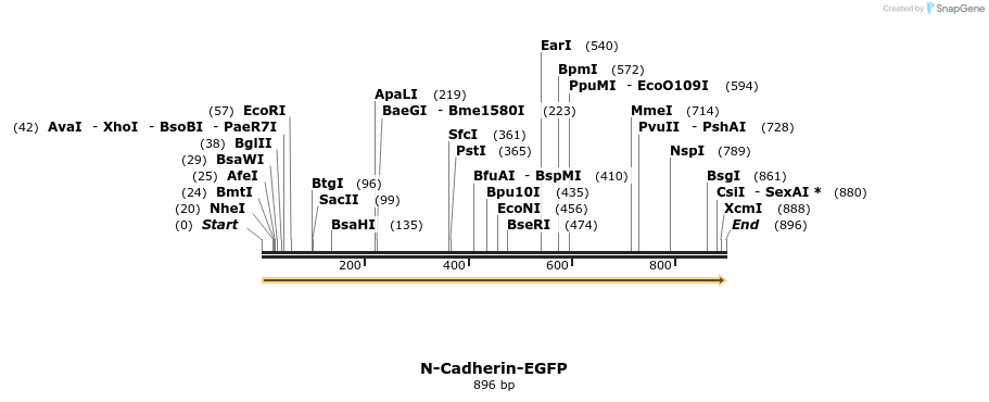 147297_map