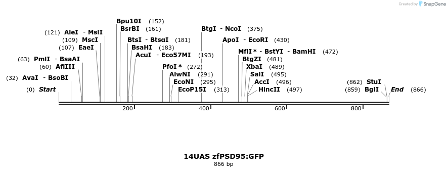 147299_map
