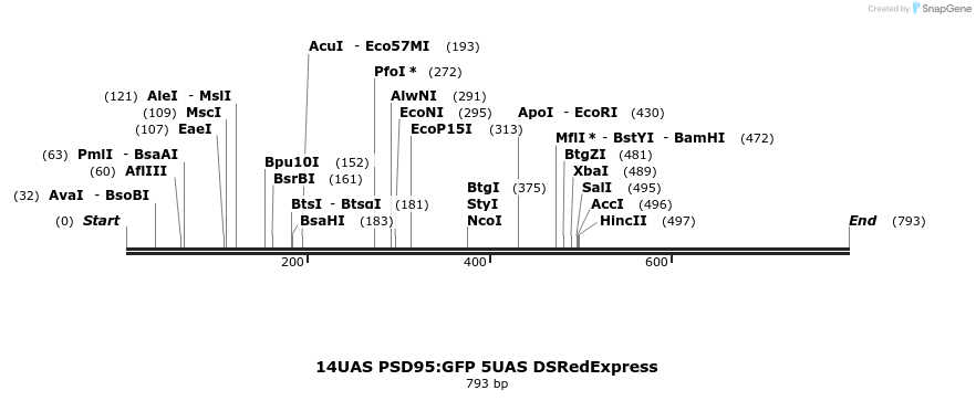 147302_map