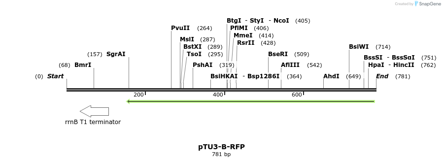 147304_map