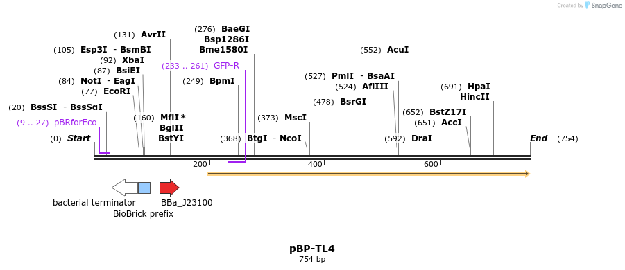 147306_map