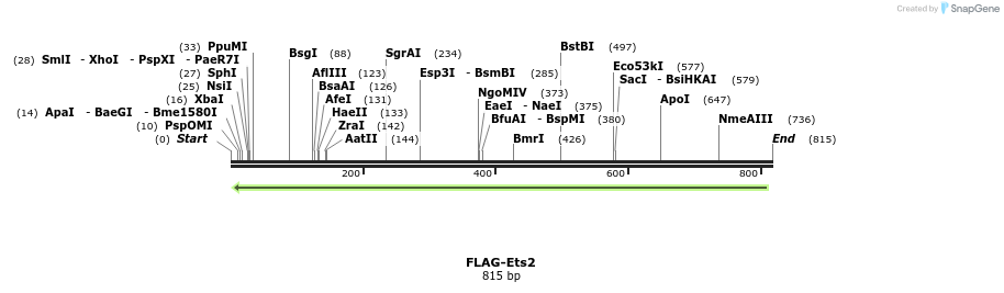 147307_map