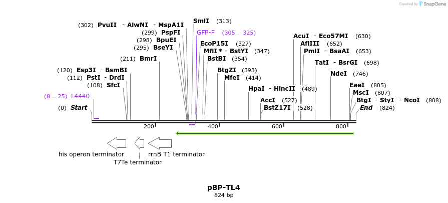 147308_map