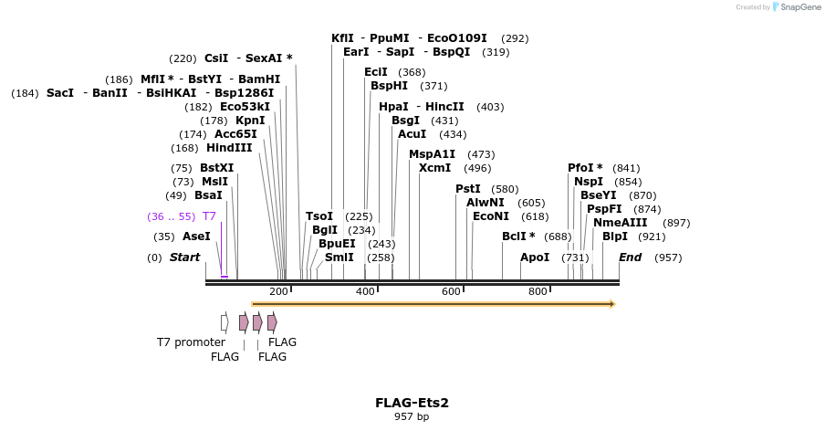 147309_map