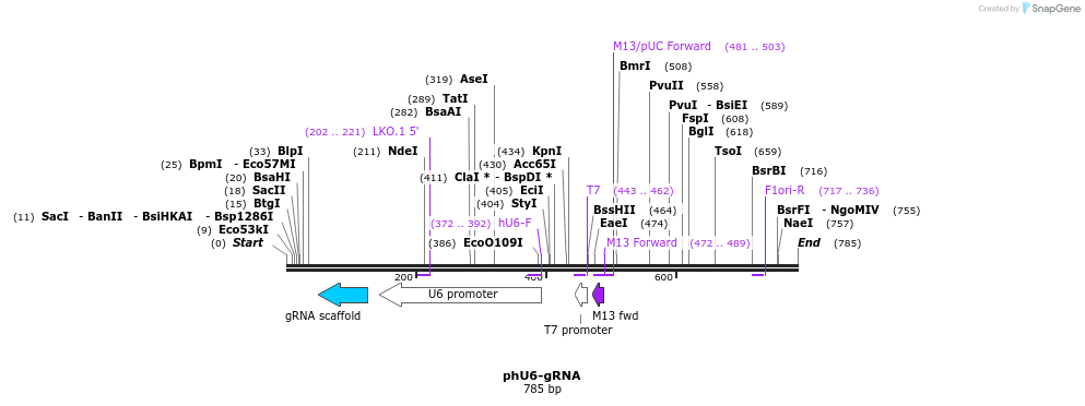 147311_map