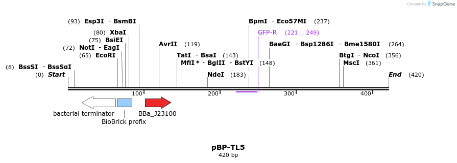 147314_map