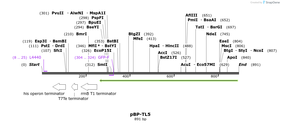 147315_map