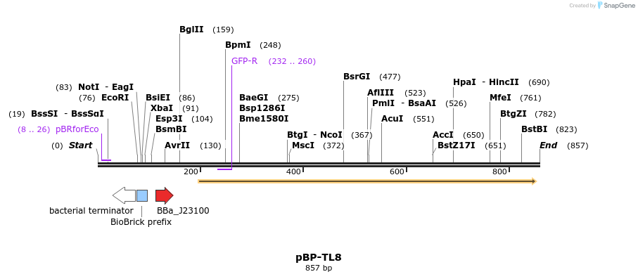 147317_map