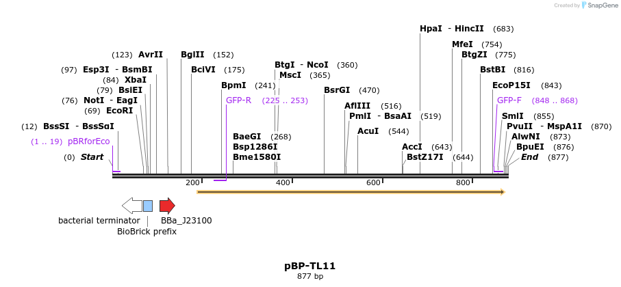 147319_map