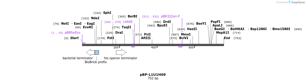 147322_map