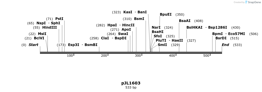147323_map