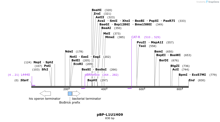147324_map