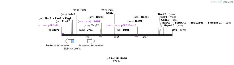 147325_map