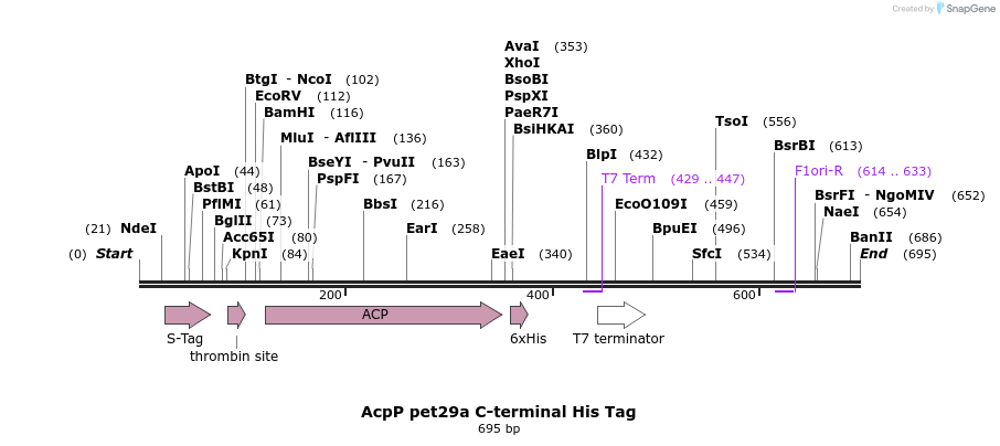 147328_map