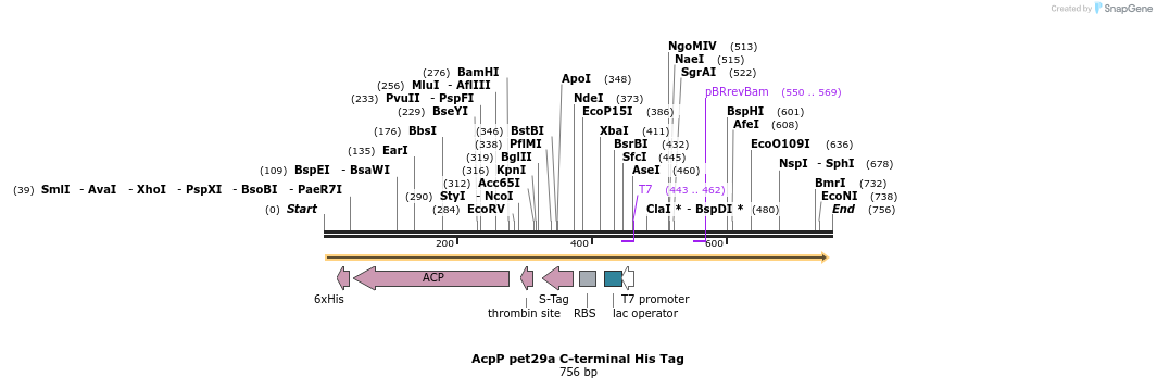147329_map