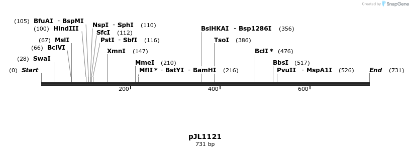 147333_map